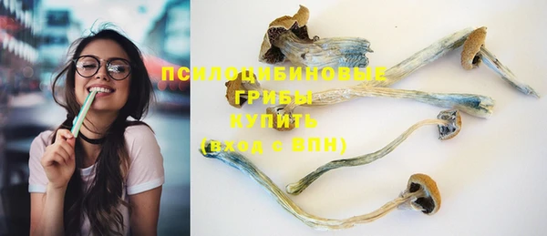 кокс Аркадак